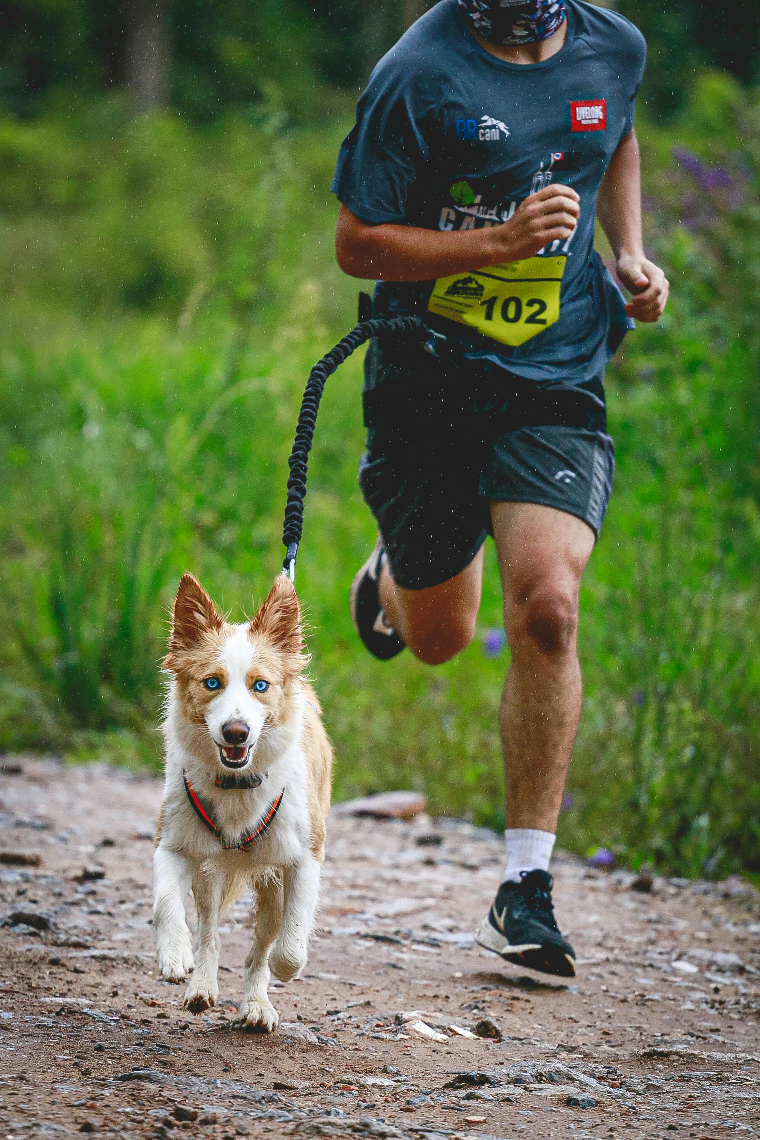 Coureur pratiquant le canicross avec son chien sur un sentier
